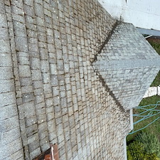 Moss-Removal-Roof-Wash-in-Pullman 5